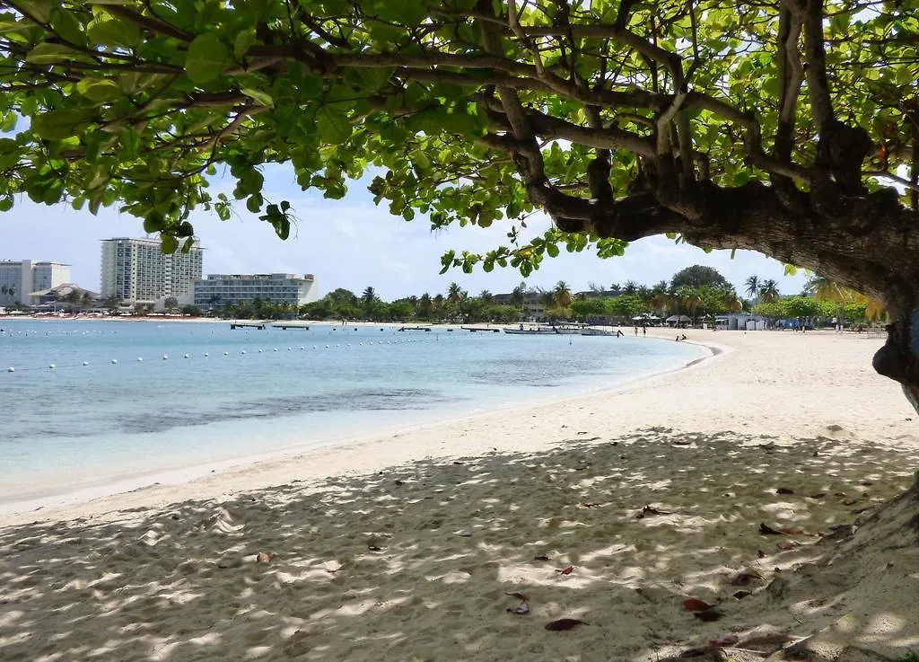 Beach One Bedroom Suite 13 Ocho Rios Apartment